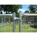 High duty welded wire mesh dog kennel